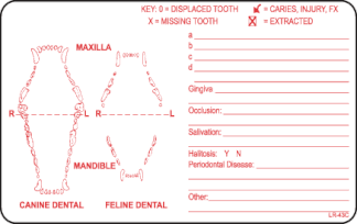 Canine & Feline Dental Label